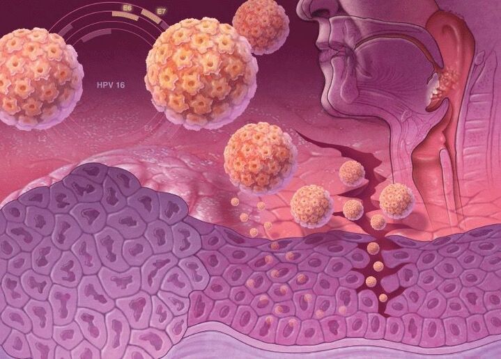 Prodor HPV v človeško telo