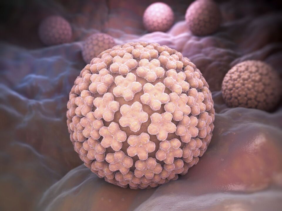Človeški papiloma virus