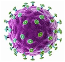 Kaj je human papillomavirus okužbe